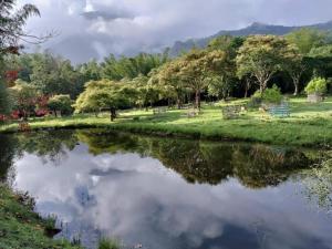Jungle Hut Resort