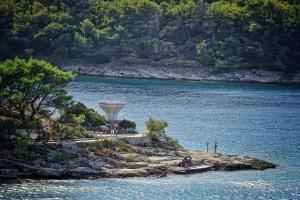 Apartments by the sea Povlja, Brac - 17472