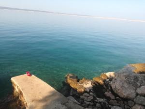 Apartments by the sea Ladjin Porat, Paklenica - 17624