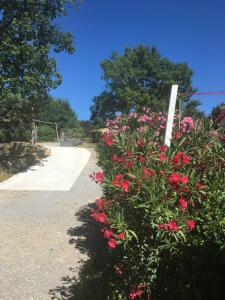 B&B / Chambres d'hotes Villa Caline chambres d'hotes : photos des chambres
