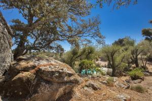 Villas Villa Pianelli : Villa Supérieure