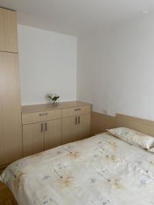 Bees Place Holiday Home Kranjska Gora