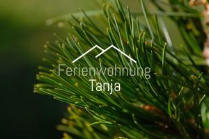 Ferienwohnung Tanja inklusive Sommercard