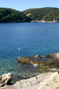 Apartments by the sea Sumartin, Brac - 18749