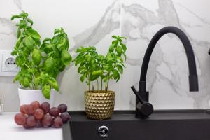 Hillside7 Micro-Apartment 16