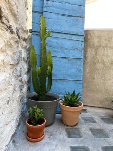 Spacious 2br in Arles Historical Center With Terrace