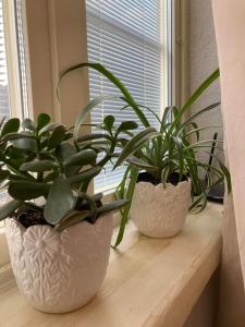 Renthouse Guest Apartment ALICE