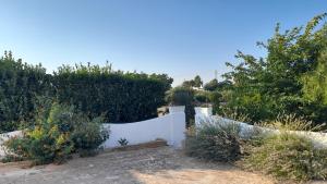 Villa Ottocento Molillo