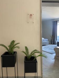 HV Suites PAUSILYPON