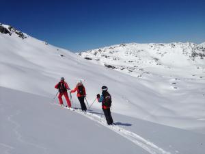 Chalets Le Chalet : photos des chambres