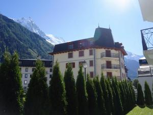 Appartement cosy au centre de Chamonix avec jardin, 2 pièces, bien équipé, accepte animaux - FR-1-507-29