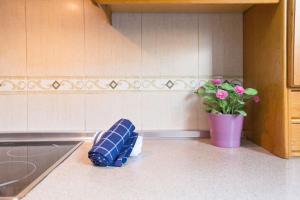 Bright, quiet and nice ground floor in the center