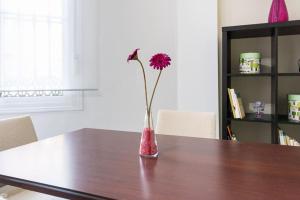 Bright, quiet and nice ground floor in the center