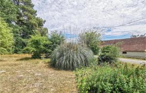 Nice Home In Selles-Sur-Cher With Wifi