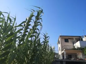 Saleto Apartma - Jagodje