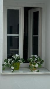 Hopes ático-apartamento