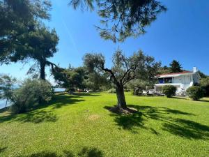 Dream sea front summer Vila