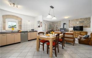 Amazing Apartment In Podpican With Wifi