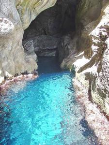 Il Gabbiano Blu - Monolocale Giallo