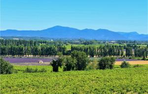 Maisons de vacances Stunning Home In Beaumes-de-venise With Wifi, Private Swimming Pool And Outdoor Swimming Pool : photos des chambres