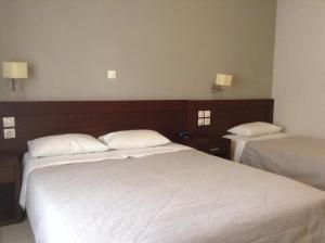 Hotel Electra Pelion Greece