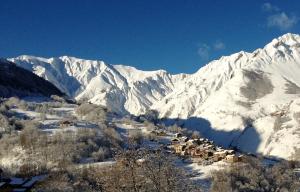 Chalets Le Chalet : photos des chambres