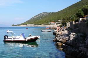 Apartments by the sea Cove Zarace - Gdinj, Hvar - 4596