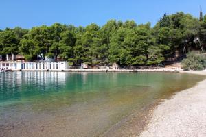 Apartments with a parking space Stari Grad, Hvar - 5724