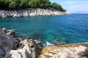 Seaside secluded apartments Cove Pobij, Hvar - 5712