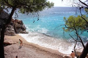 Apartments by the sea Jagodna, Hvar - 3249