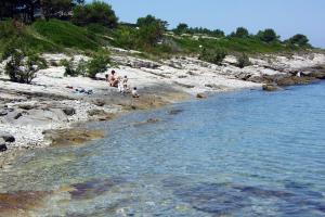 Seaside holiday house Sucuraj, Hvar - 5718