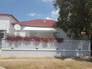 Apartments with a parking space Seline, Paklenica - 6604 - Seline