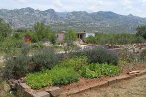 Apartments with a parking space Seline, Paklenica - 6629