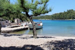 Apartment Karkavac - Scedro 8801d