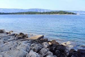 Apartments by the sea Jelsa, Hvar - 8751