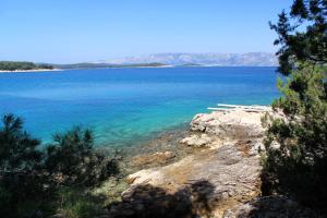 Seaside holiday house Cove Grebisce, Hvar - 3375