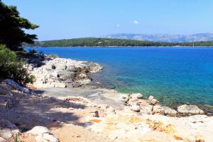 Apartments by the sea Jelsa, Hvar - 8729