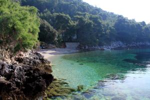 Seaside secluded apartments Cove Rapak, Hvar - 8766