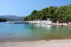 Apartments with a parking space Stari Grad, Hvar - 11731