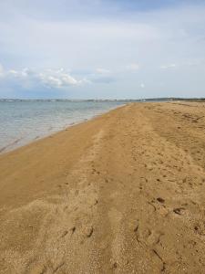 Apartments with a parking space Sabunike, Zadar - 12960