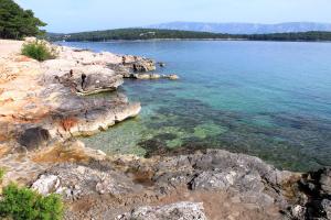 Apartments by the sea Jelsa, Hvar - 15073
