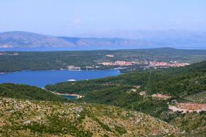 Apartments with WiFi Stari Grad, Hvar - 15464