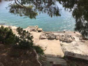 Seaside secluded apartments Cove Lucica, Hvar - 15546