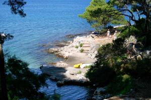 Apartments by the sea Jelsa, Hvar - 4017