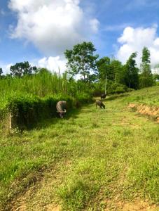 Captain’s Villa and Campsite