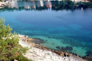 Apartments by the sea Basina, Hvar - 4622