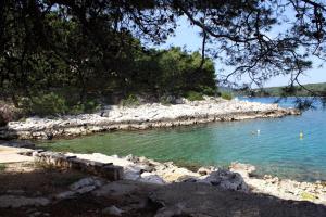 Apartments by the sea Jelsa, Hvar - 4621