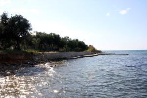 Apartment Sukosan 10418b