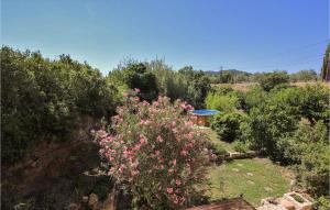 Maisons de vacances Nice home in ST Didier with Outdoor swimming pool, WiFi and 2 Bedrooms : photos des chambres