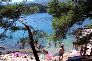 Seaside apartments with a swimming pool Jelsa, Hvar - 2067